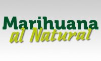 marihuana al natural