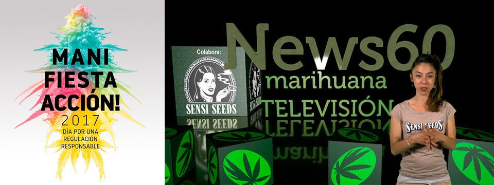 (c) Marihuanatelevision.tv