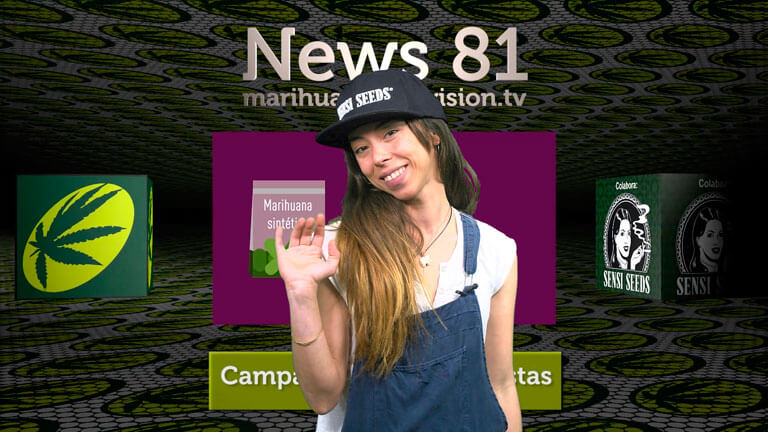 Ya está publicado el Marihuana News 81. ¡No olvides acudir a la charla en Spannabis sobre televisiones cannábicas 2.0.