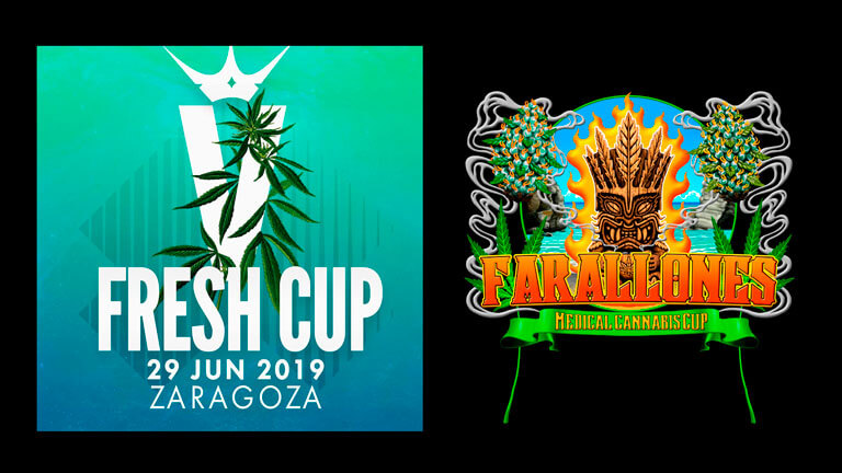Este junio tienes puedes disfrutar en varias Cannabis Cup. Fresh Cup y Farallones, Zaragoza o Cali. Tú decides.