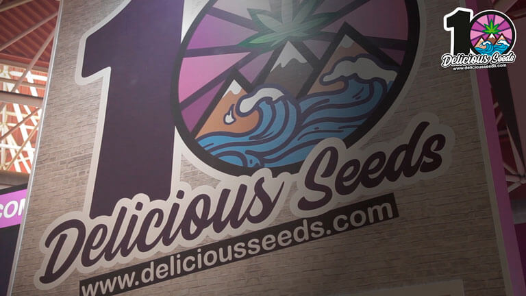 10º Aniversario de Delicious Seeds ¡Enhorabuena!