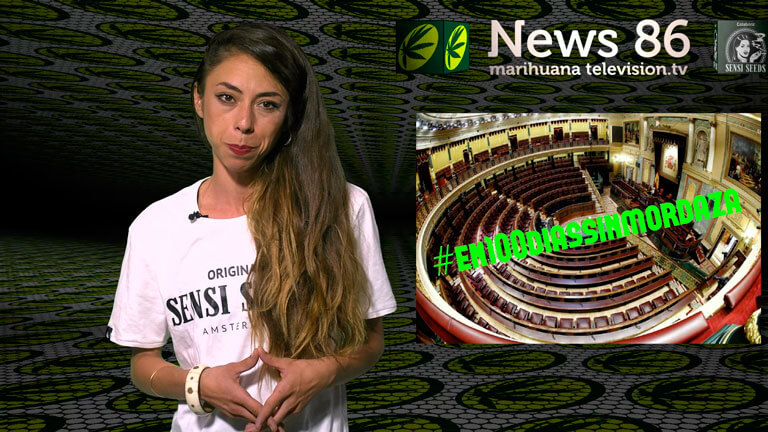 Marihuana News 86 - Calor y plagas en el cannabis