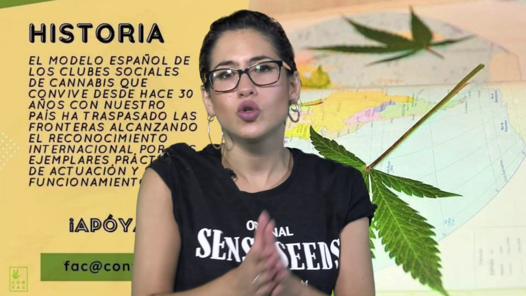 Modelo de regulación español de cannabis social clubs